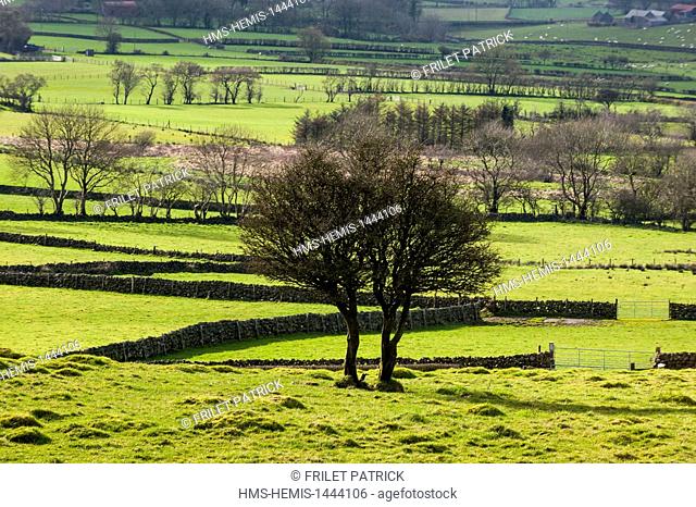 United Kingdom, Northern Ireland, County Antrim, Slemish Mountain near Broughshane
