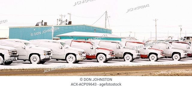 Snow-covered trucks in lot after blizzard, Drumheller, Alberta, Canada