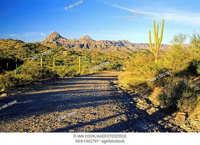 San Javier Road, Sierra de la Gigante, Baja California Sur, Mexico