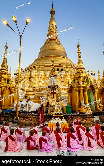 A Group Of Thilashin (Novice Nuns) Praying At The Shwedagon Pagoda, Yangon, Myanmar