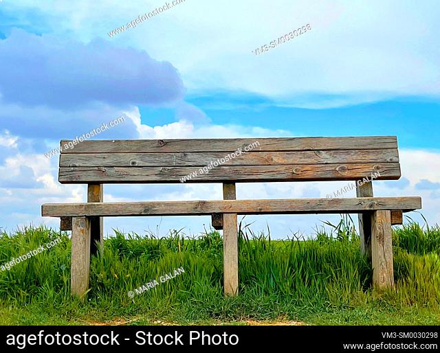 Wooden bench in solitary field