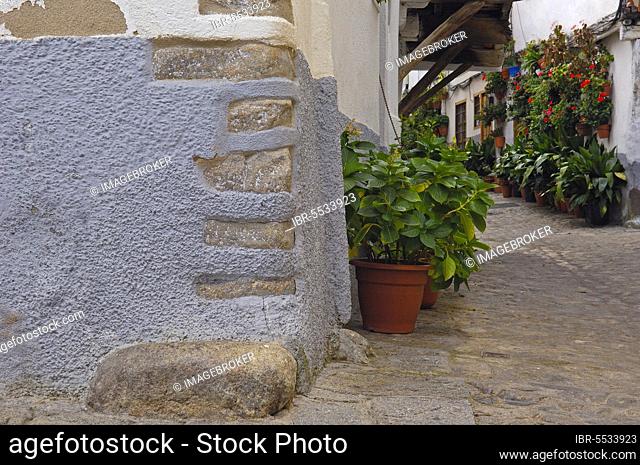 Hervas, Jewish Quarter, Ambroz Valley, Caceres Province, Extremadura, Spain, Europe