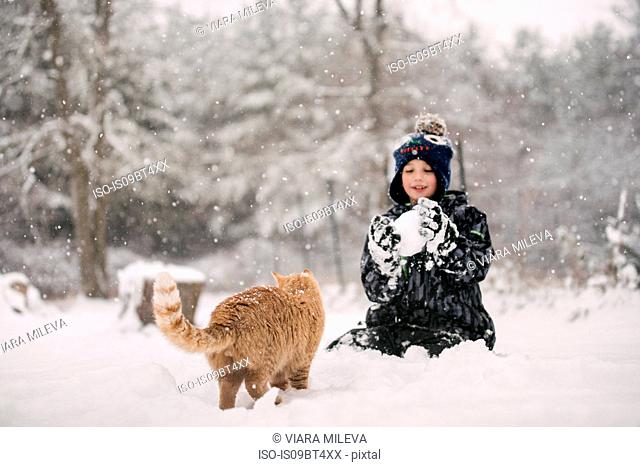 Boy tempted to throw snowball at cat