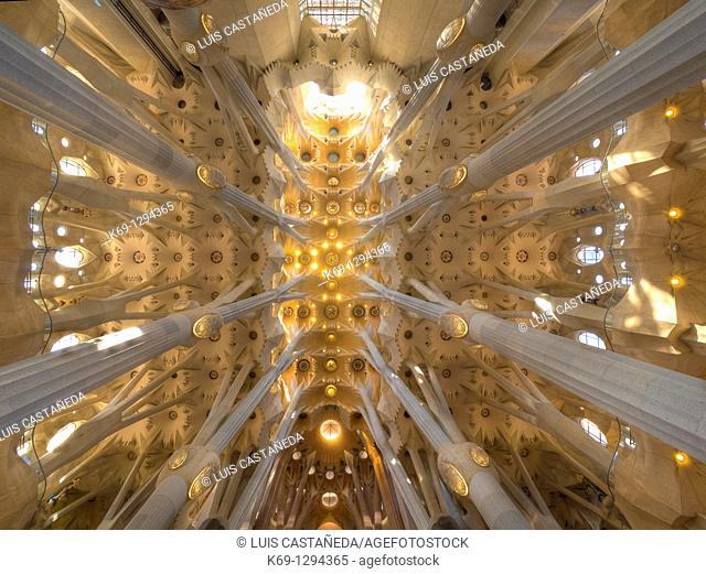 Interior of the Sagrada Familia temple by architect Gaudi, Barcelona, Catalonia, Spain