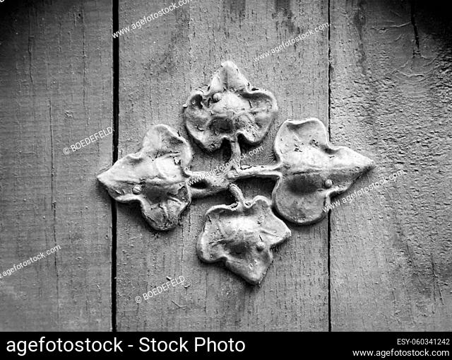 Forged ivy leaves on a wooden wall for decoration