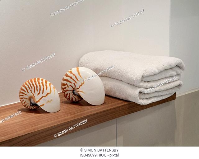 Seashells and towels on shelf