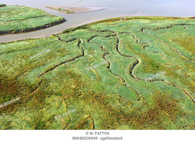 aerial view to river delta Verdronken land van Saeftinghe, Netherlands, Zeeuws-Vlaanderen, Verdronken land van Saeftinghe
