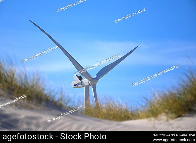 21 April 2022, Denmark, Hvide Sande: A wind turbine with the inscription ""Vestas"" stands against a blue sky between sand dunes near the village of Hvide Sande