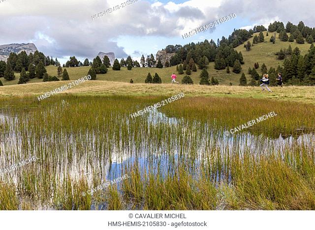 France, Isere, Parc Naturel Regional du Vercors (Natural regional park of Vercors), Trieves, Richardiere, pass of Aiguille (1622m)