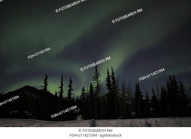 northern, borealis, alaska, ak, wiseman, aurora