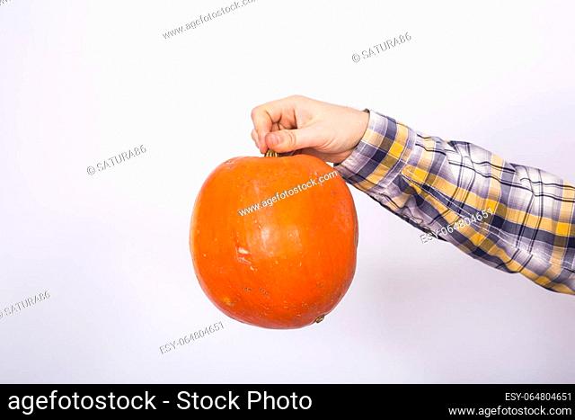 portrait of a young farmer holding a pumpkins on a light background studio