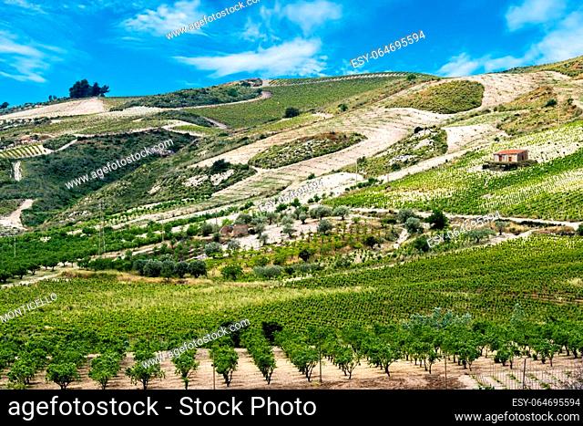 Landscape view of the vineyards region of Butera in the Province of Caltanissetta, Sicily, Italy