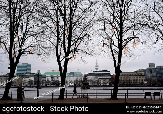 13 December 2023, Hamburg: A passer-by walks along the Binnenalster past trees lit up for Christmas. The Alster fir tree glows in the background