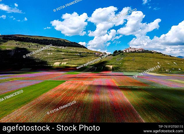Italy, Umbria, Castelluccio di Norcia, lentil fields