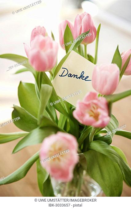 Tulips in vase with the note danke, German for thank you, Mannheim, Baden-Württemberg, Germany