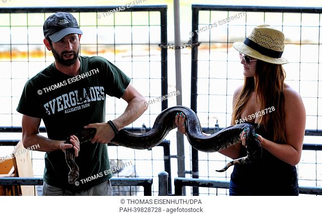 Tourists visit an alligator farm at the Everglades National Park and attend a snake show in Florida City, USA, 26 May 2013