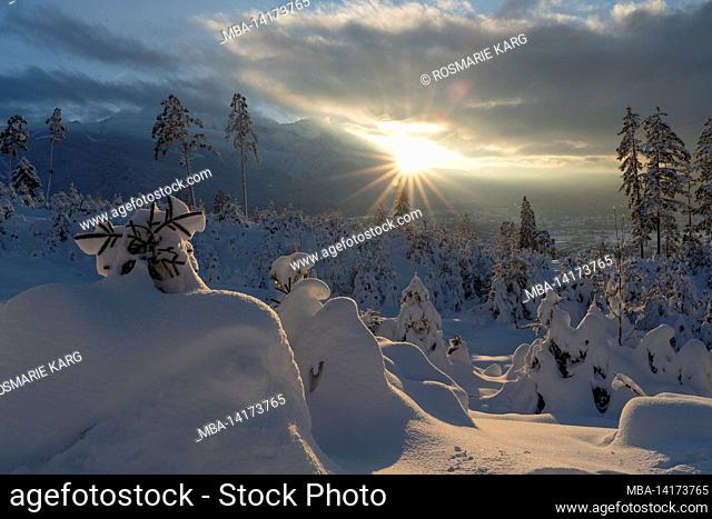 Mountain forest over Garmisch-Partenkirchen in sunshine, Sonnenstern, Bavaria, Germany