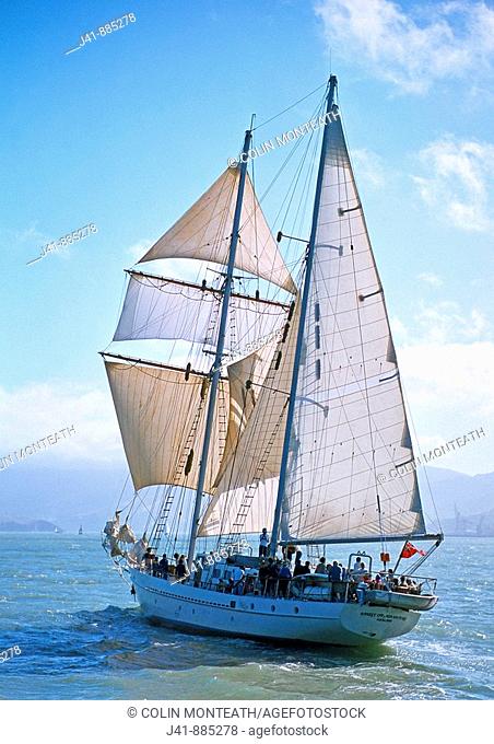 Sail-training topsail schooner Spirit of Adventure on Lyttelton Harbour Canterbury New Zealand