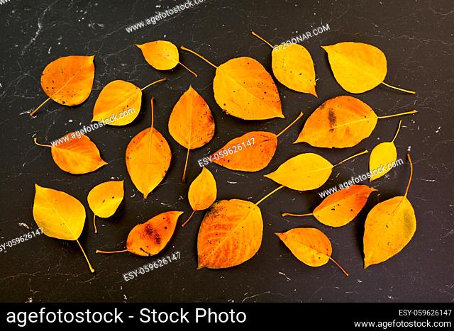 Orange coloured autumn leaves on black marble like board, view from above