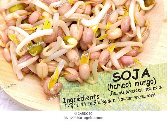 MUNG BEAN Mung bean sprouts Vigna radiata abusively called soya bean sprouts