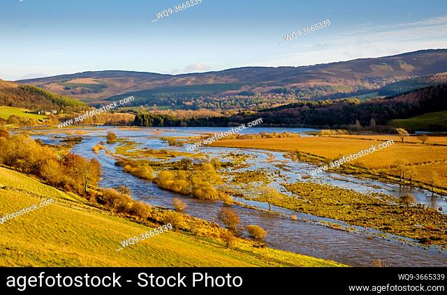 The River Tweed in flood in the Tweed Valley, Scottish Borders, Scotland