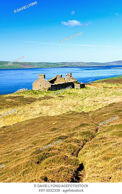 Island of Rousay, Orkney, Scotland. Derelict ruined croft house hill farm near Westness. West over Eynhallow Sound. Path through early summer heather