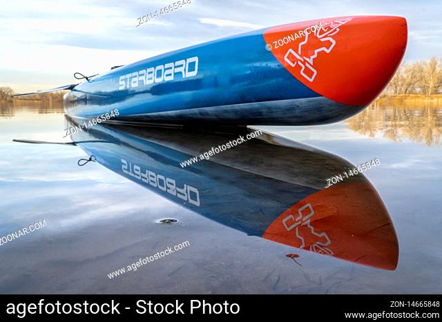 Fort Collins, CO, USA - November 19, 2019: Racing stand up paddleboard, All Star by Starboard, on a shore of a calm lake in late fall scenery
