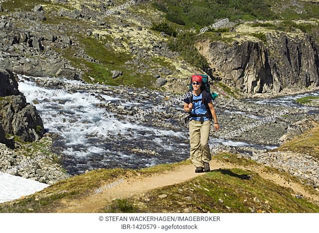 Young woman hiking, backpacking, hiker with backpack, historic Chilkoot Pass, Chilkoot Trail, creek behind, near Happy camp, alpine tundra, Yukon Territory