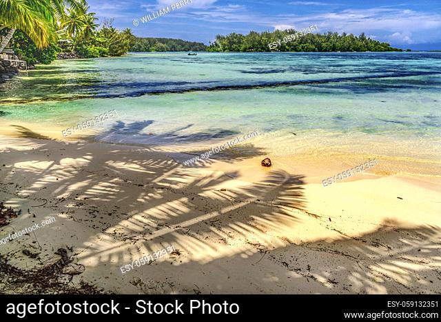 Colorful Hauru Point Beach Palm Trees Islands Coconut Blue Water Moorea Tahiti French Polynesia. Different blue colors from lagoon and coral reefs and deep blue...