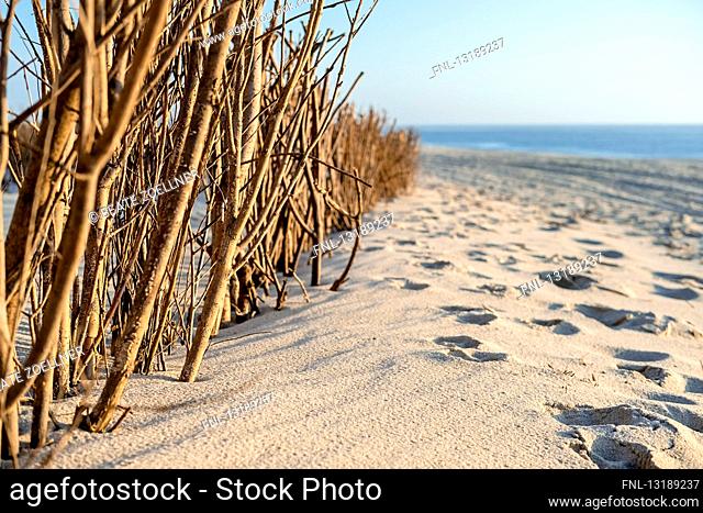 Sand trap fence at beach, Sylt, Schleswig-Holstein, Germany, Europe