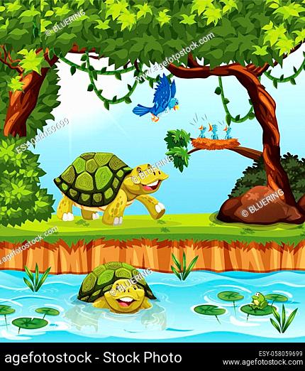 Turtle in the jungle illustration