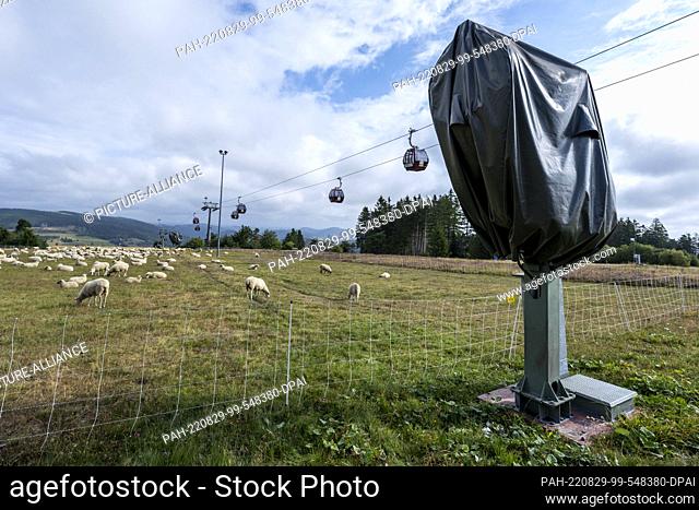28 August 2022, Hessen, Willingen: A snow cannon next to the cable car up the Ettelsberg is covered with a tarpaulin. In Hesse's ski resorts