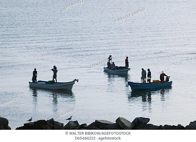 OMAN-Sharqiya Region-Sur: Fishermen on Sur Corniche / Morning