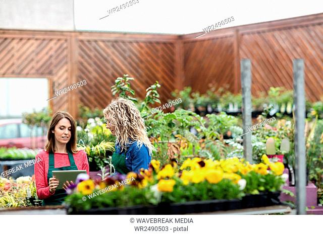Two female florist using digital tablet