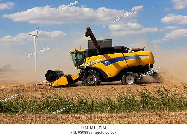 Combine harvester on field, Schleswig-Holstein, Germany