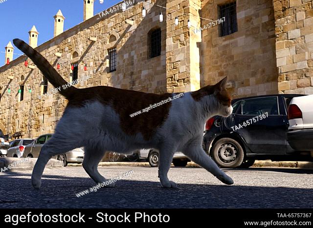 CYPRUS, NICOSIA - DECEMBER 14, 2023: A cat walks past Buyuk Han, a 16th-century caravanserai (roadside inn). The Turkish Republic of Northern Cyprus is a de...