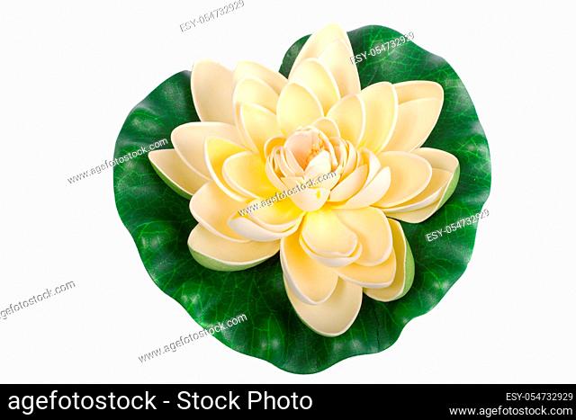Close up view of a fake water lily flower isolated on a white background