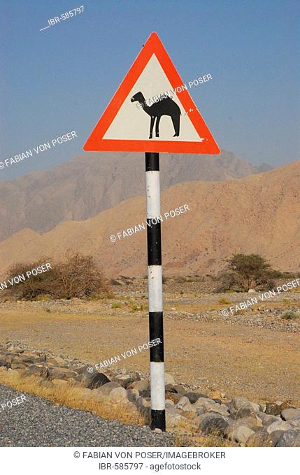 Street sign: Beware of camels!, near Muscat, Oman
