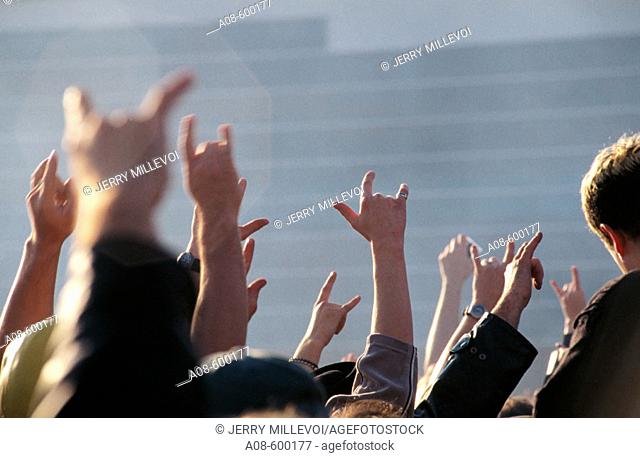 Crowd at rock concert