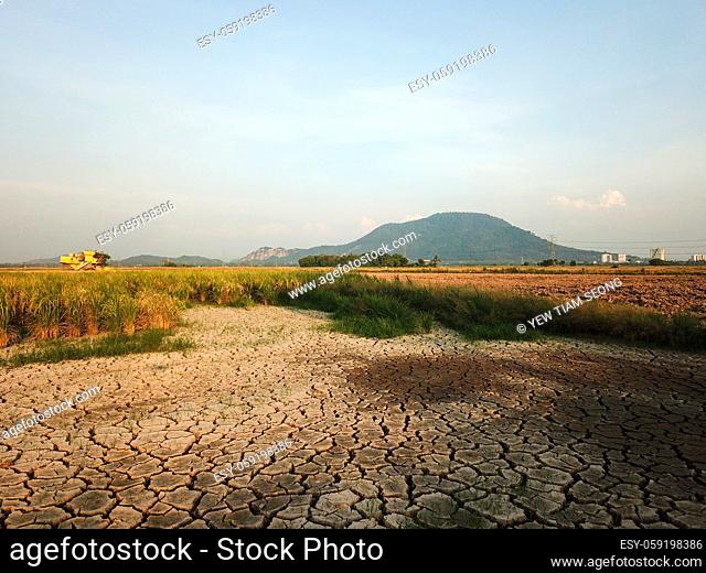 Dry land at paddy field due to drought