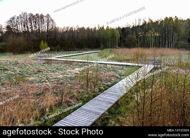Europa, Poland, Voivodeship Masovian, Kampinoska forest - Kampinos National Park - Granica