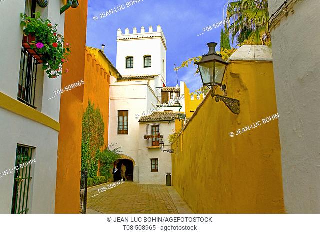 Street in Santa Cruz quarter, Sevilla. Andalusia, Spain