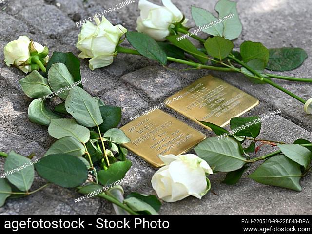 10 May 2022, Thuringia, Arnstadt: In memory of the couple Maier and Helene Freudenberger two Stolpersteine are laid and framed with white roses