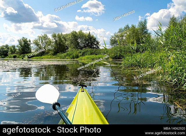 peenetal river landscape nature park, swinow, reed belt, boat tip, reflection