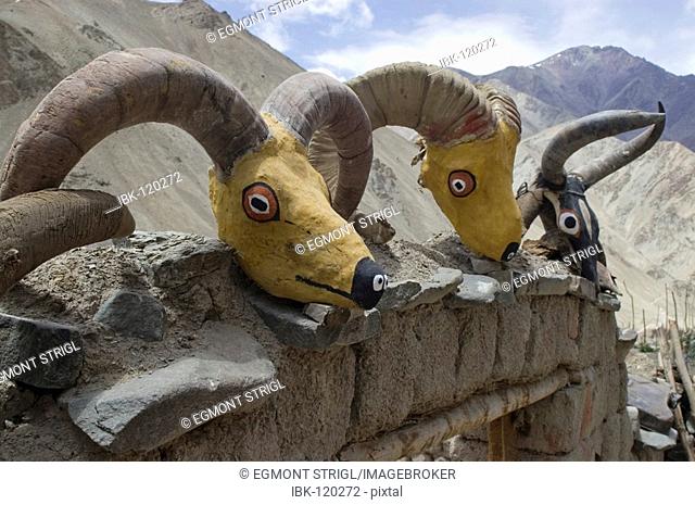 Painted sheep skulls, Ladakh, Jammu and Kashmir, India