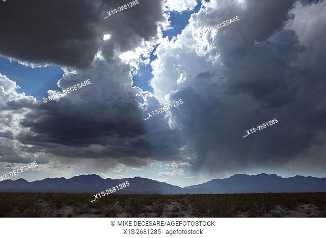 A massive thunder storm blots out the sun above the Mojave Desert