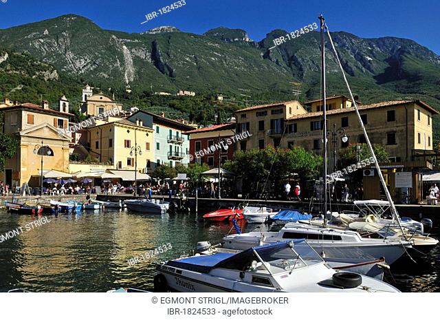 Harbour of Malcesine with Monte Baldo, Lake Garda, Veneto, Venetia, Italy, Europe