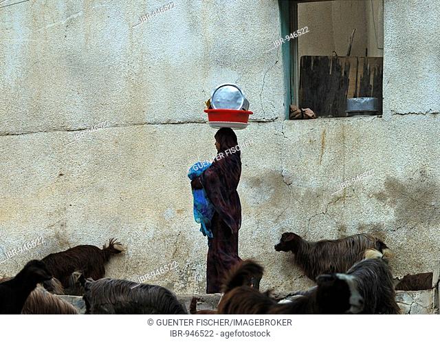 Omani woman balancing a bowl of water on her head, Nakhl, Sultanate of Oman, Middle East