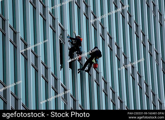 31 March 2023, Hamburg: Window cleaners rappel down the facade of the former Hamburg Süd-Haus, which is now called Trio Hamburg