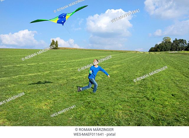 Boy flying kite in meadow